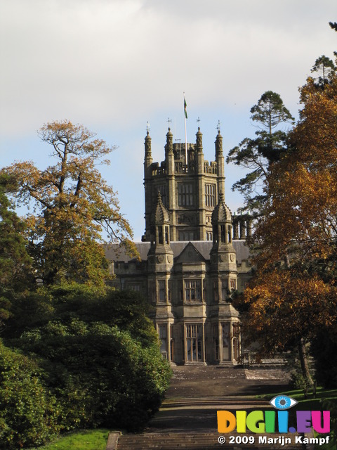 SX09840 Margam Castle framed by autumn tree